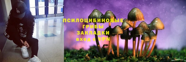дурь Алексеевка