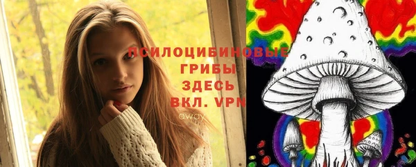 стаф Снежинск