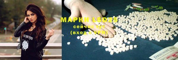 стаф Снежинск