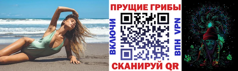 наркотики  Мичуринск  Псилоцибиновые грибы Cubensis 